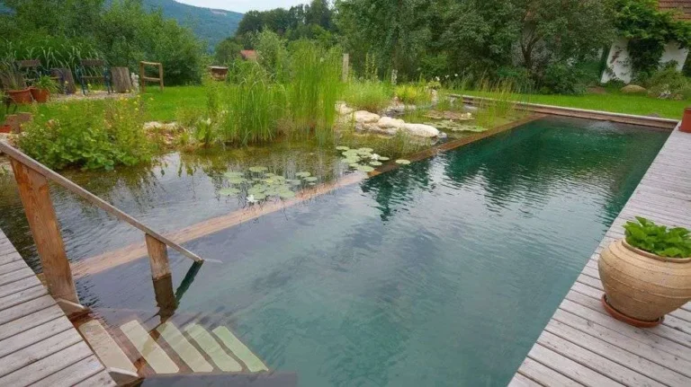 Top Eco-Friendly Pool Features to Save Water & Energy